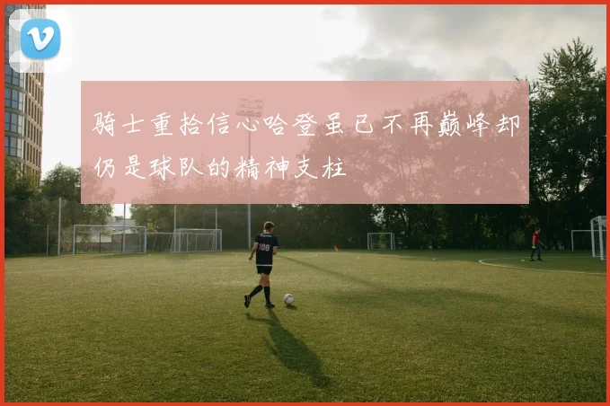 骑士重拾信心哈登虽已不再巅峰却仍是球队的精神支柱