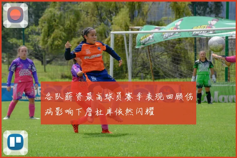 各队薪资最高球员赛季表现回顾伤病影响下詹杜库依然闪耀