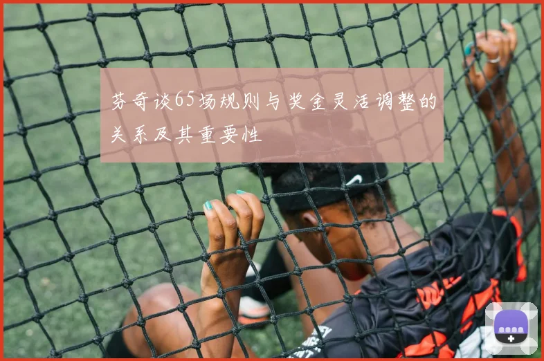 芬奇谈65场规则与奖金灵活调整的关系及其重要性